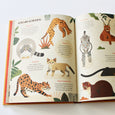 Illustrated Children Book
