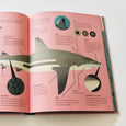 Smart About Sharks Illustrated Book